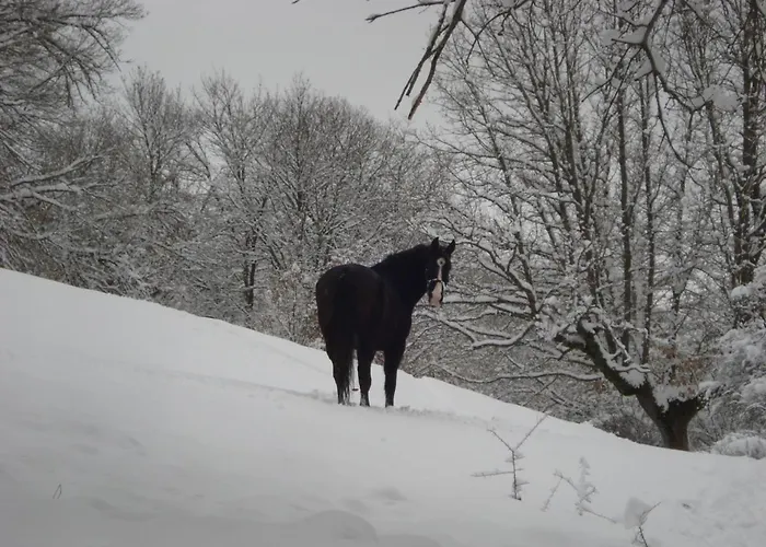 Hoyas I Y Ii Hébergement de vacances Tolbanos de Arriba