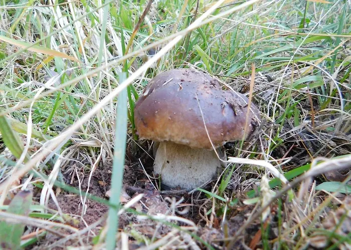 Hoyas I Y Ii Tolbanos de Arriba